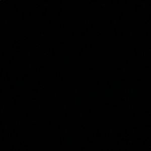 Meet your Posher, Martha